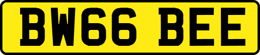 BW66BEE