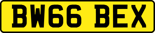 BW66BEX