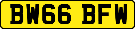 BW66BFW