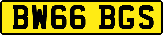 BW66BGS