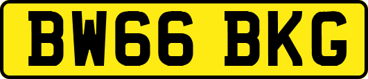 BW66BKG