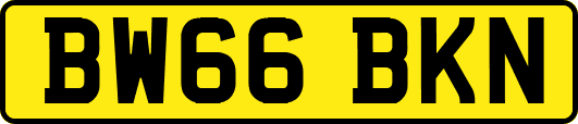 BW66BKN