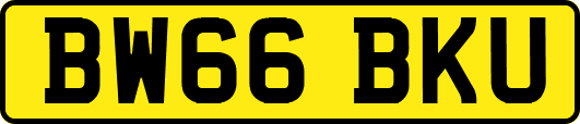 BW66BKU