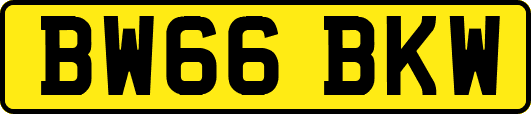 BW66BKW