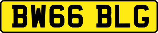 BW66BLG