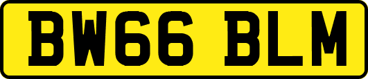 BW66BLM