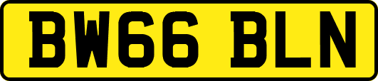 BW66BLN