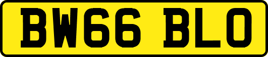 BW66BLO