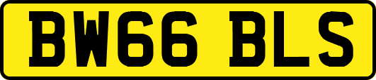 BW66BLS