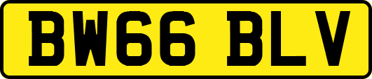 BW66BLV