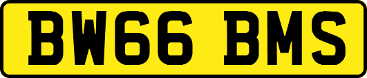 BW66BMS
