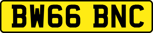 BW66BNC