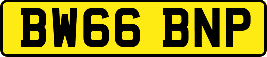 BW66BNP
