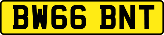 BW66BNT