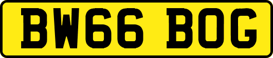BW66BOG