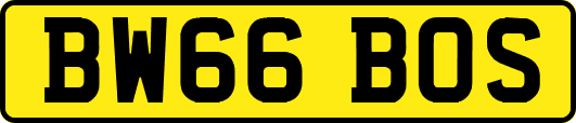 BW66BOS