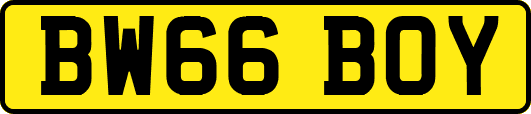 BW66BOY