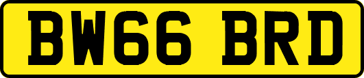 BW66BRD