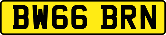 BW66BRN