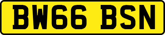 BW66BSN