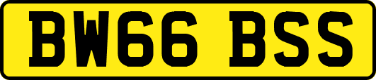 BW66BSS