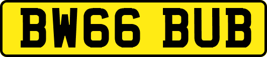 BW66BUB
