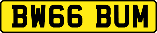 BW66BUM