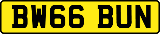 BW66BUN