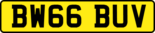 BW66BUV