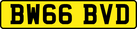 BW66BVD