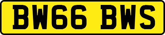 BW66BWS