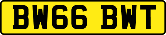BW66BWT