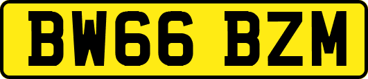 BW66BZM