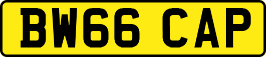 BW66CAP
