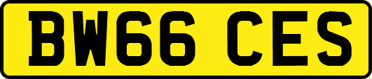 BW66CES