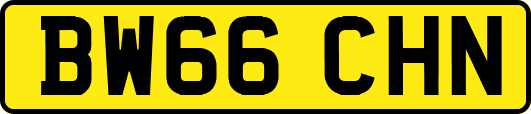BW66CHN