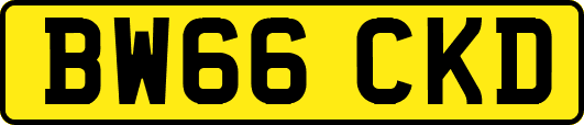 BW66CKD