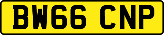 BW66CNP