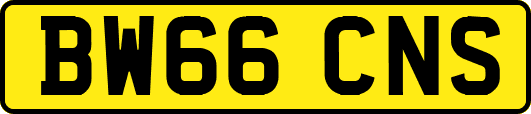 BW66CNS