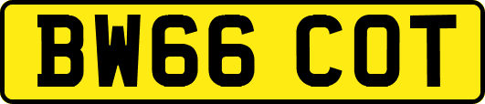 BW66COT