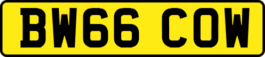 BW66COW