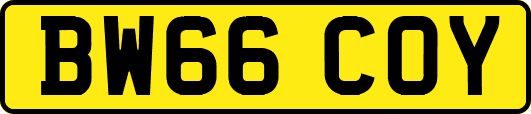 BW66COY