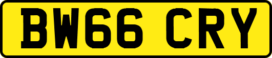 BW66CRY