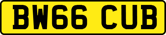 BW66CUB