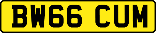 BW66CUM