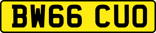 BW66CUO