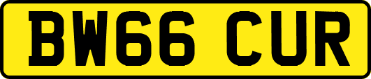 BW66CUR