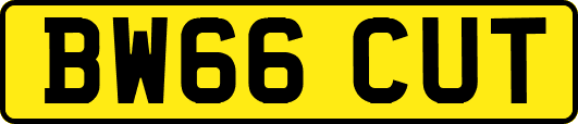 BW66CUT