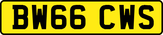 BW66CWS