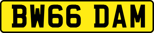 BW66DAM
